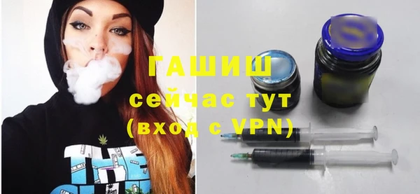 хмурый Каменка