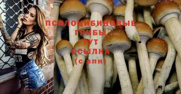 прущая мука Каменск-Шахтинский