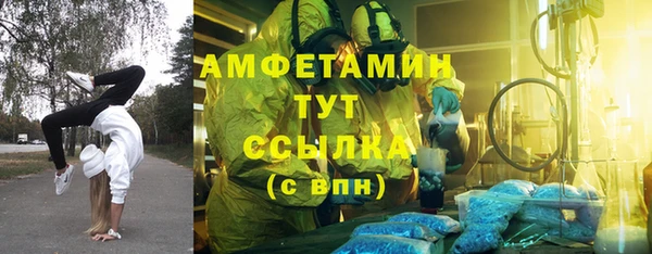 хмурый Каменка