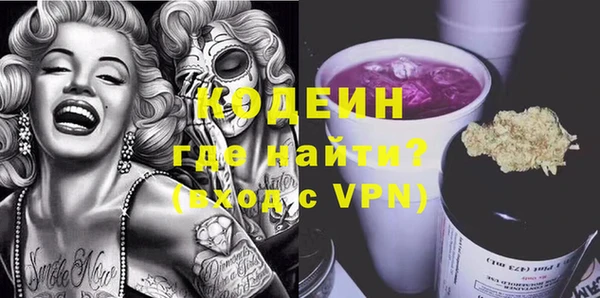 хмурый Каменка