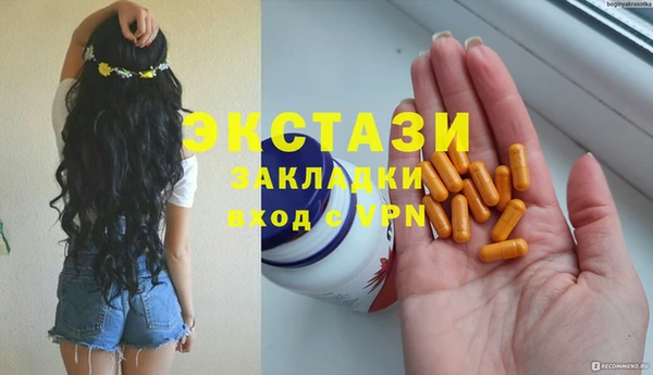 хмурый Каменка