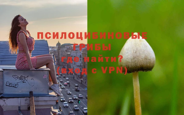 хмурый Каменка