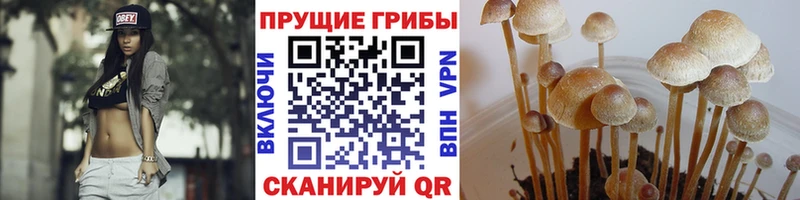 Галлюциногенные грибы MAGIC MUSHROOMS  Купить где  Юхнов 